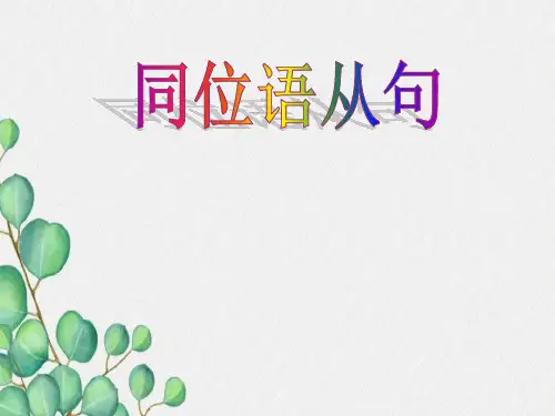语法--同位语从句解析