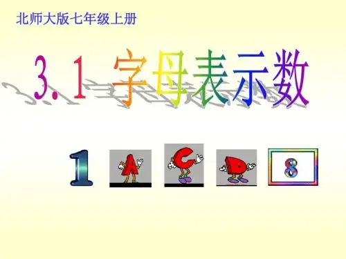 3.1字母表示数