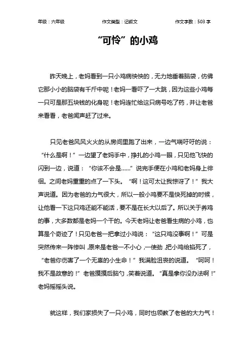 “可怜”的小鸡作文【小学六年级500字】