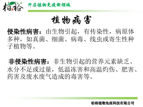 植物病害种类及侵染性非侵染性病害识别判定