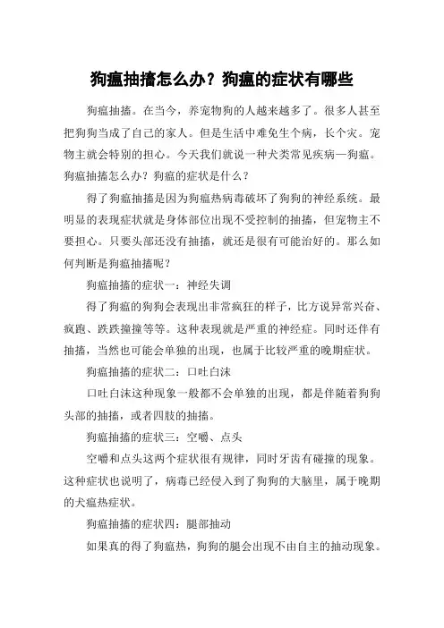 狗瘟抽搐怎么办？狗瘟的症状有哪些