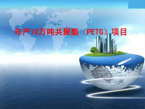 年产10万吨共聚酯项目_图文
