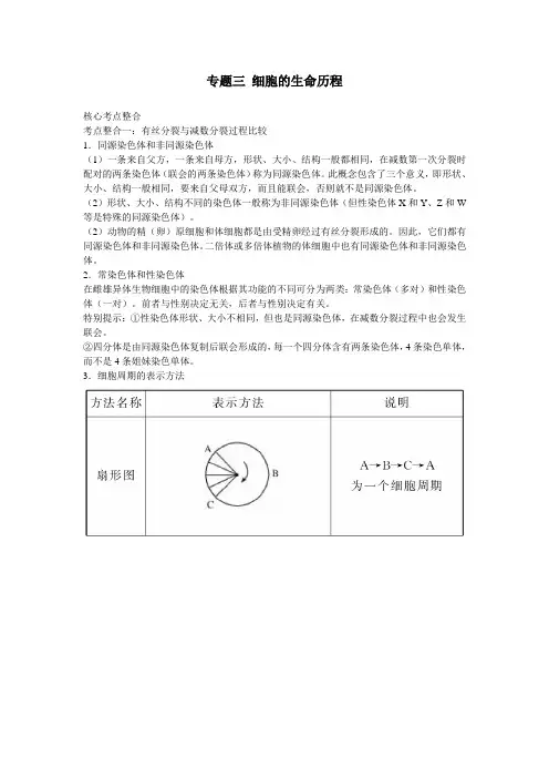 2016高考生物二轮复习：专题3细胞的生命历程详解