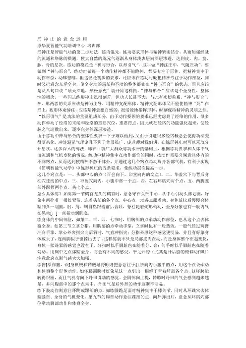 形神庄的意念运用