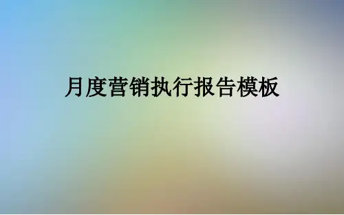 月度营销执行报告模板