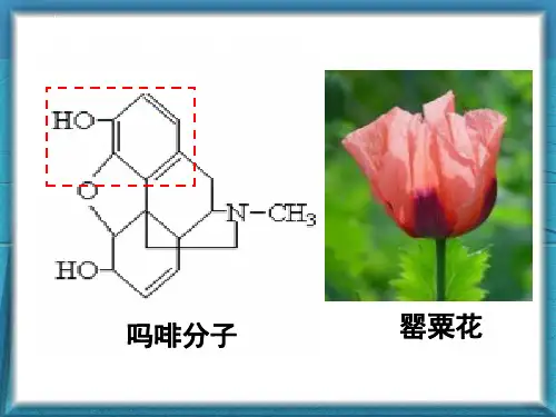 酚