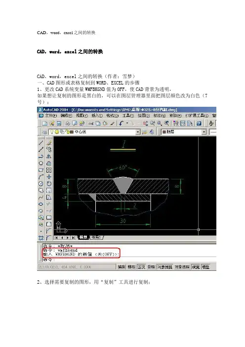 CAD word  exail转化
