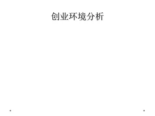 创业环境分析