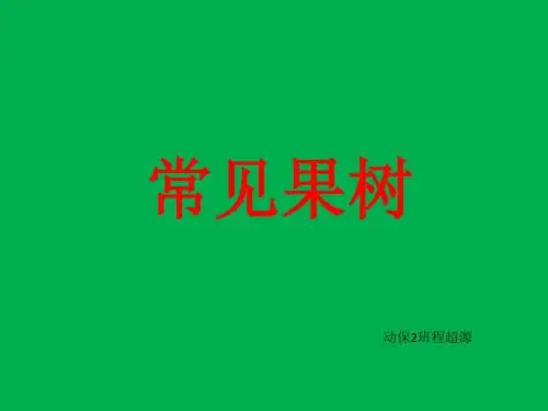 植物分类学课件,常见果树