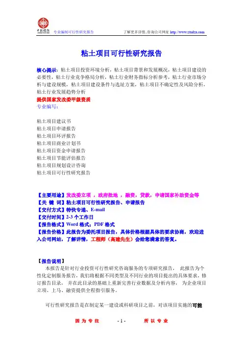 粘土项目可行性研究报告