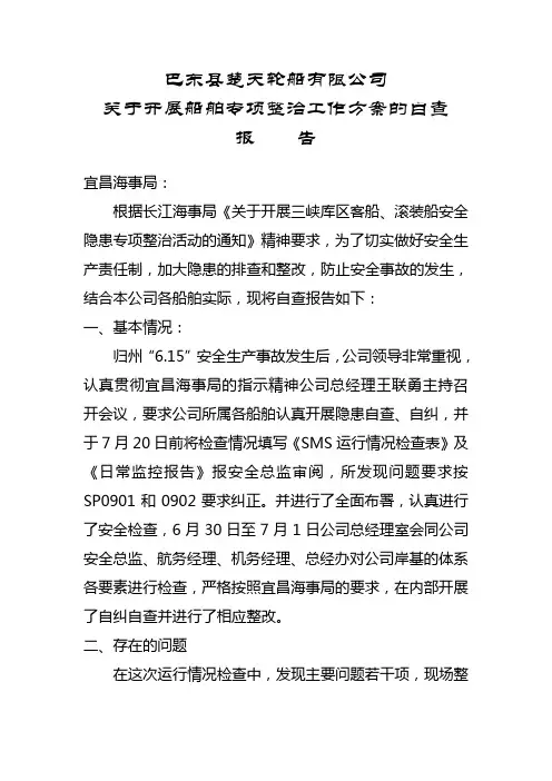 专项整治工作自查报告