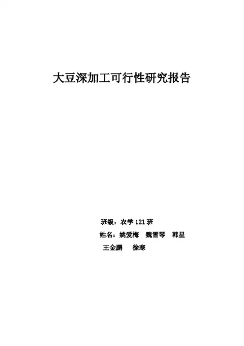 大豆可行性报告