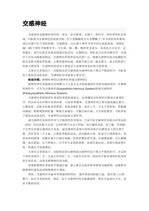 交感神经