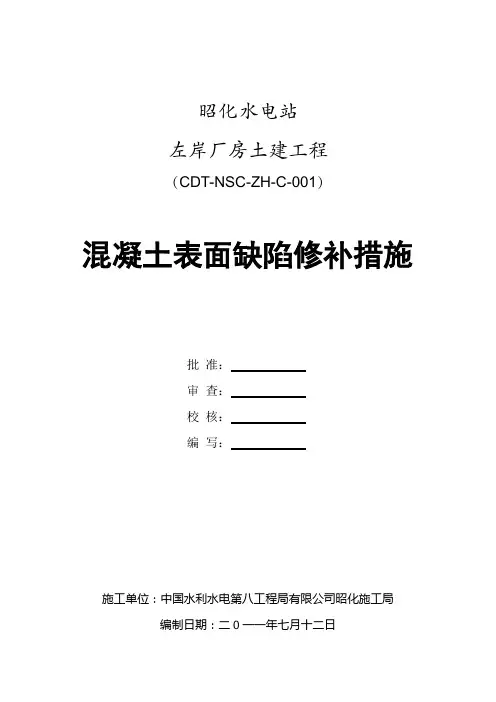 混凝土表面缺陷修补措施(最新)