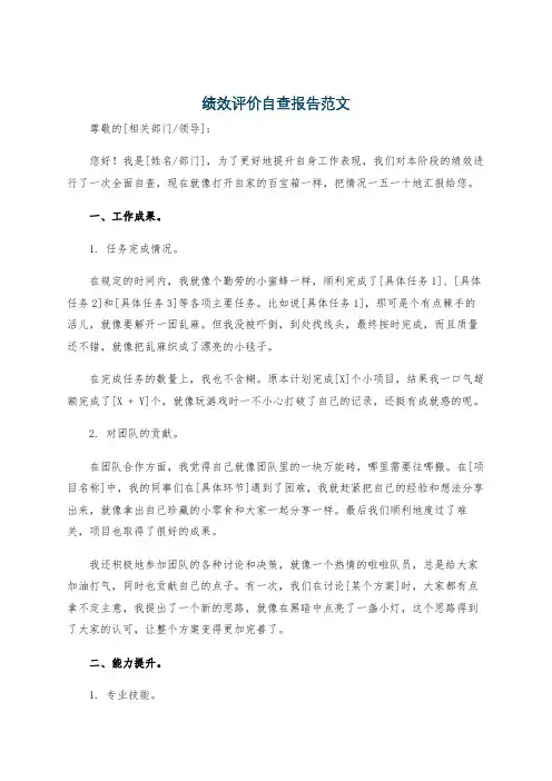 绩效评价自查报告范文