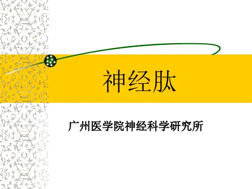神经肽2011