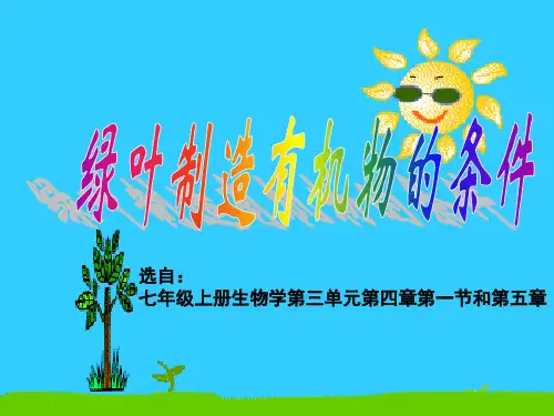 初中生物创新实验