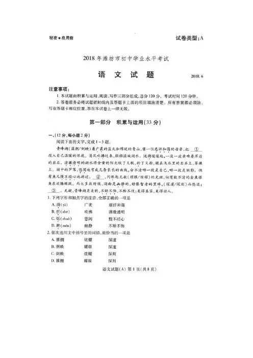 2019年中考语文试题(Word版,含答案) (29)