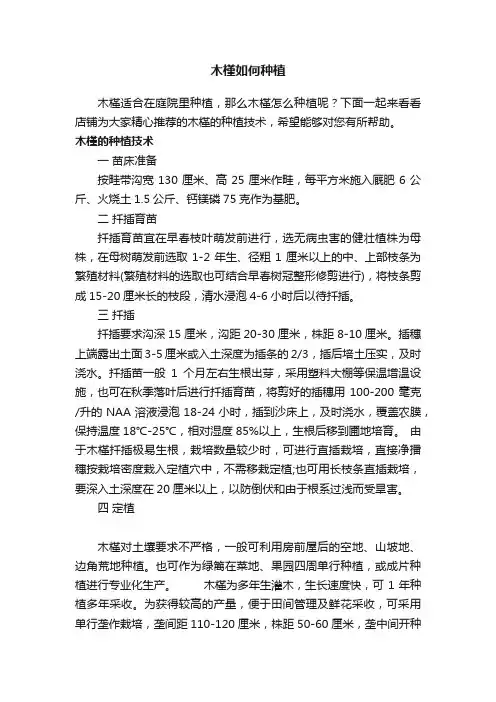 木槿如何种植
