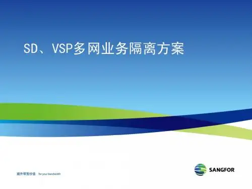 VSP、SD多业务隔离方案