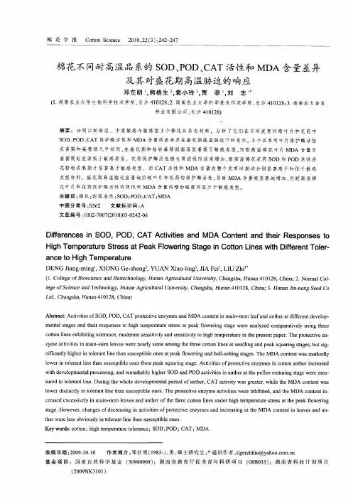 棉花不同耐高温品系的SOD、POD、CAT活性和MDA含量差异及其对盛花期高温胁迫的响应