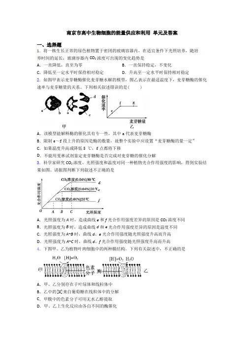 南京市高中生物细胞的能量供应和利用 单元及答案