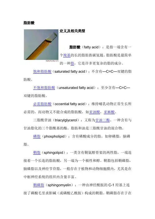 脂肪酸知识介绍