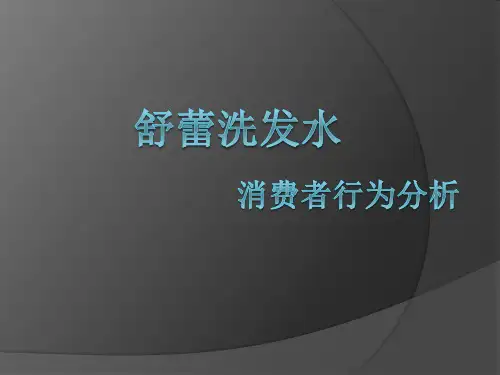 舒蕾洗发水消费者行为分析