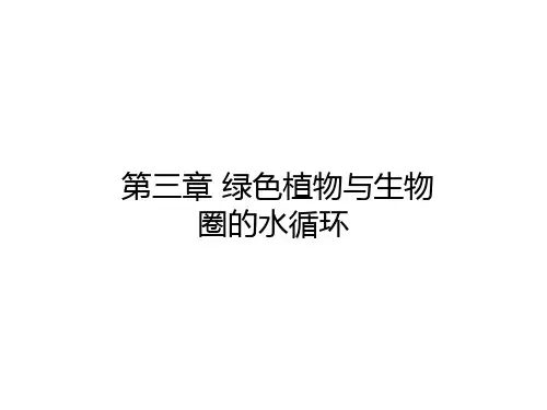 人教版生物七年级上册3.3.1《绿色植物与生物圈的水循环》课件