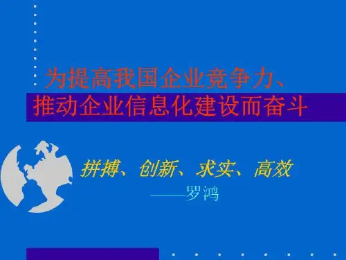 erp信息化建设培训讲稿【精品】