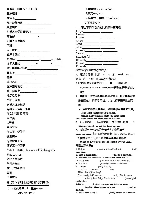 仁爱英语中考第一轮复习八上Unit4