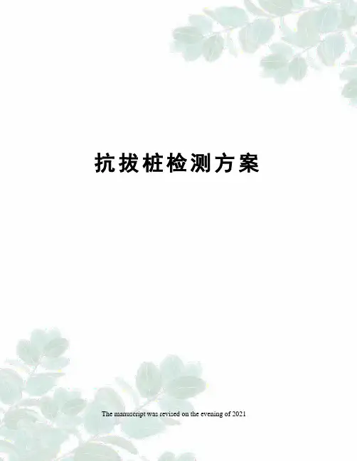 抗拔桩检测方案