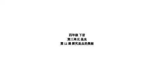 苏教版四年级下册科学探究昆虫的奥秘