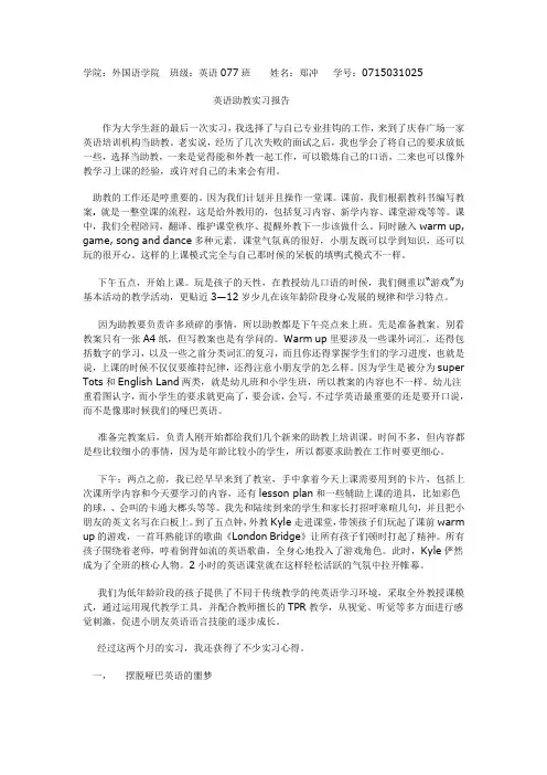 助教实习报告