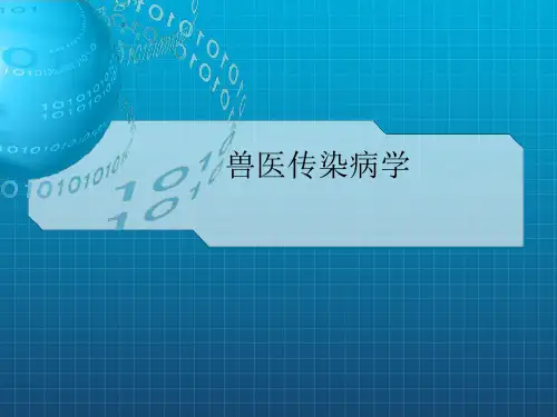 《沙门氏菌病》PPT课件
