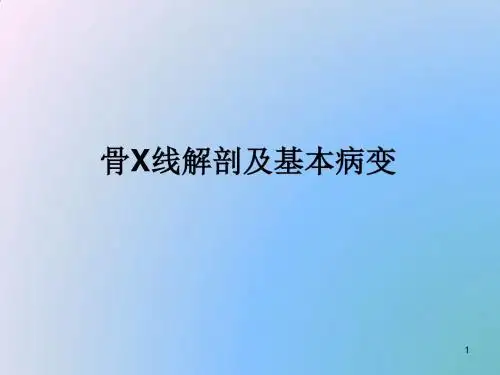 骨X线解剖及基本病变ppt课件