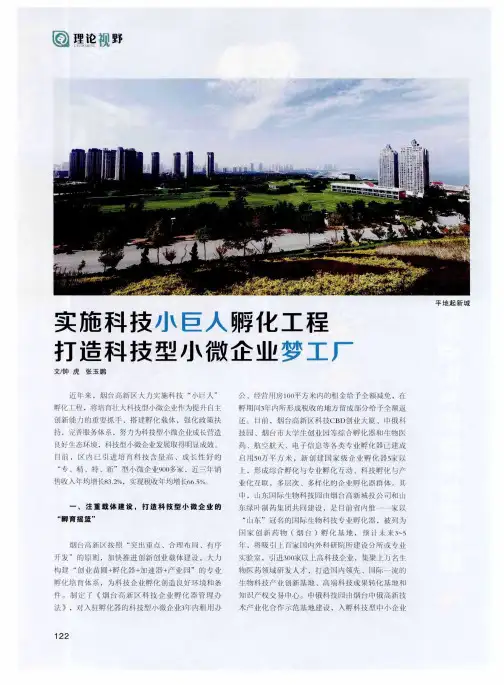 实施科技小巨人孵化工程打造科技型小微企业梦工厂