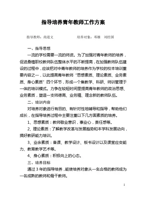 指导培养青年教师方案