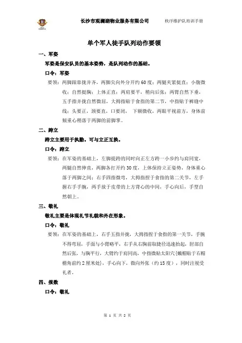 单个军人徒手队列动作