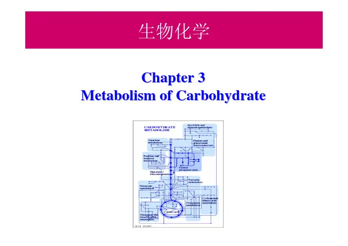 山东大学生物化学精品课程 03-4 Carbohydrate synthesis