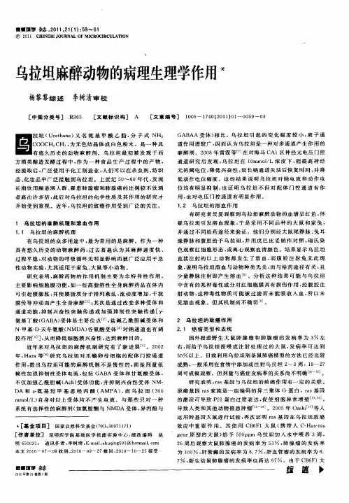 乌拉坦麻醉动物的病理生理学作用