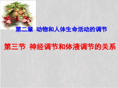 人教版高中生物必修三第2章第3节  神经调节和体液调节的关系  课件(共31张PPT)