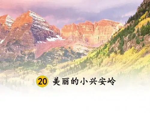 新人教版(部编)三年级语文上册《六单元 20 美丽的小兴安岭》优课导学案_2