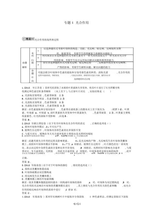 届高三生物复习配套试题汇编专题光合作用