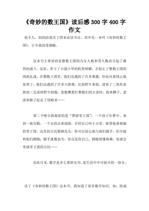 《奇妙的数王国》读后感300字400字作文