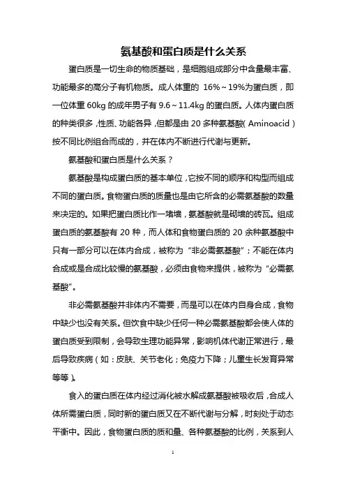 氨基酸和蛋白质是什么关系