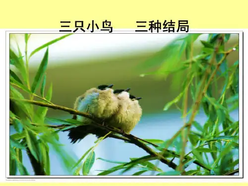 两只小鸟奋力地向上飞呀,飞呀,很快飞到了云端。26页PPT