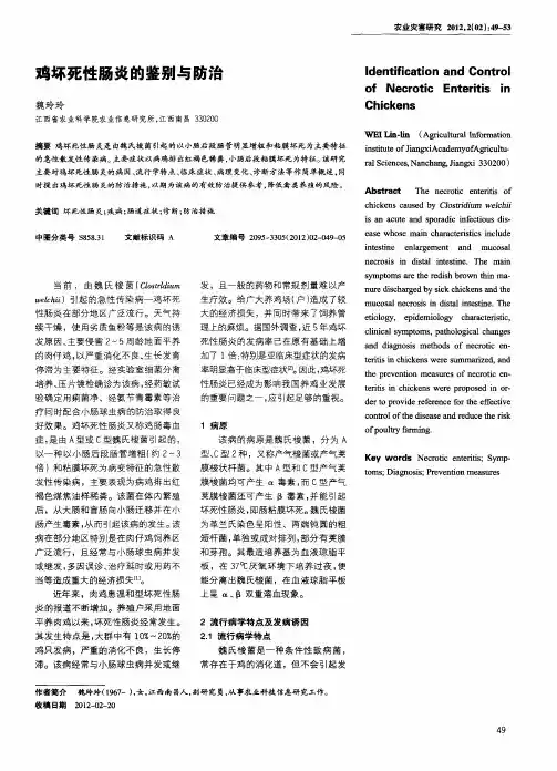 鸡坏死性肠炎的鉴别与防治