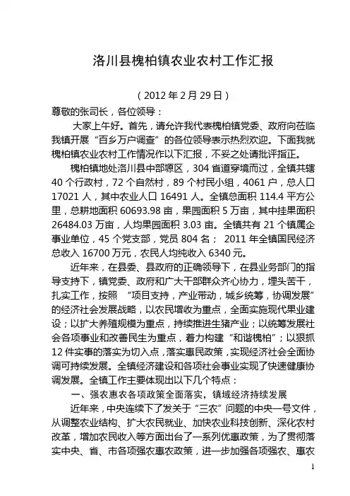 洛川县农业农村工作汇报