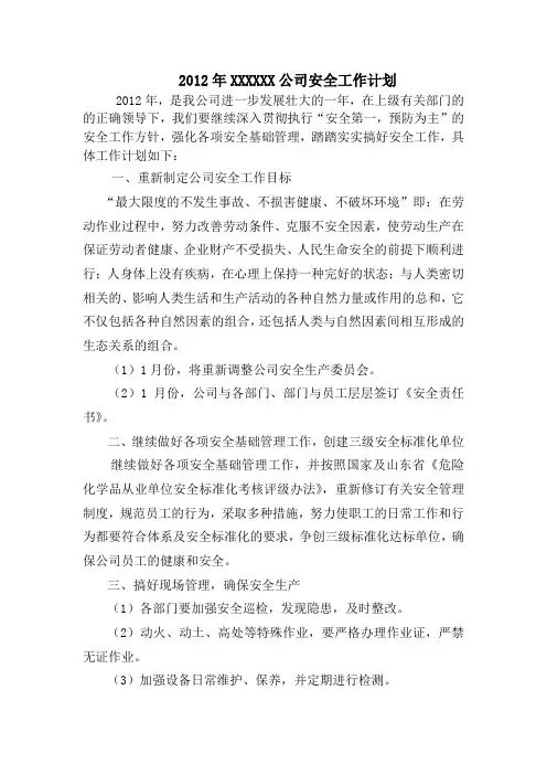 公司安全生产工作计划